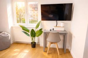BELLA business&family 100m zum Konzerteingang Schloß,Parkplatz,SmartTV,Netflix,Waschmaschine,24h Checkin, 36qm