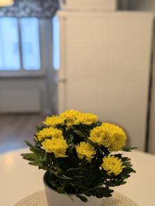 Wonderful,warm & big apartment in Kemi city center