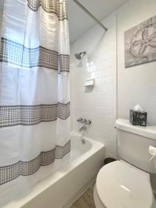 Cozy 1BR Apartment in Phenomenal Austin - Minutes to Downtown