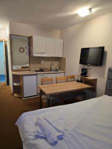 Centar slope apartman