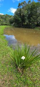 Chacara com Piscina coberta em Mandirituba PR
