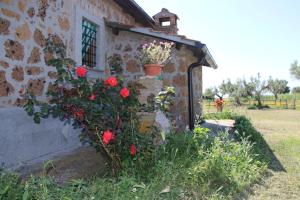 Casale Oliveto della Mola