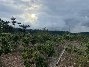 Accommodation in a quiet and cozy area