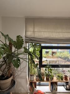 House in Walthamstow, London with Patio Near Tube and Overground