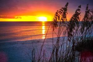Perfect Beach Escape Steps to the ocean