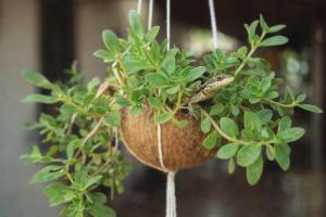 Quarto Privativo com ar condicionado - ilha de Boipeba Casa Ara Pyau