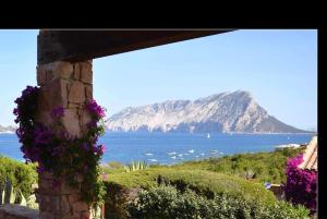 VIP Molara by DomusAway