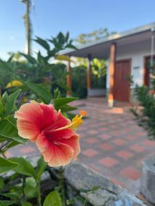 Hotel Campestre Alma Nativa