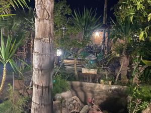 Suite avec salle de bain privée das un beau Riad avec piscine