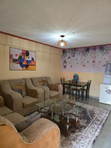 Two bedrooms furnished houses in Mwea