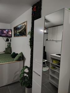 Jungle Srebrno Jezero