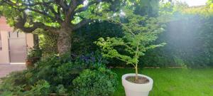 FRGK Coastal House , Garden Near Beaches & Ultra-Fast Wi-Fi