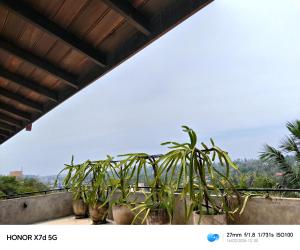 La villa de roché
