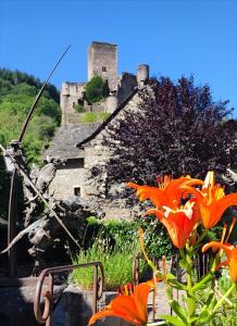 Gite Belcastel -Village d’Exception