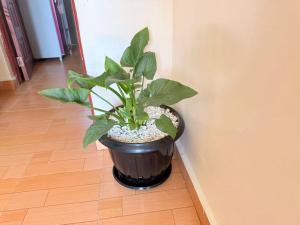 Serenity Homes Naivasha