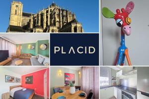 La Petite Girafe - centre-ville - Wifi