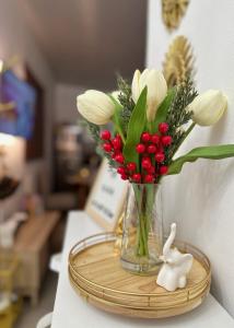 CasaCampos A private Oasis of Elegance in the Heart of San Miguel