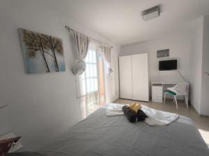 RenTenerife EspebelBeach