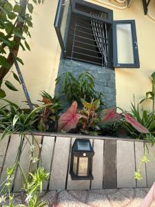 Tổ Nhím Homestay