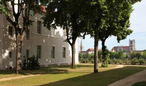 Pierres, cloches et vignes