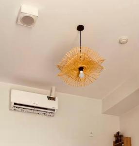 Căn hộ trọn gói Eco Healthy & Smart cho Chuyên Gia