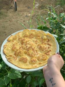 Hoi An Baby Shark Hostel