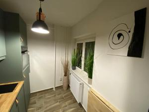 Loft2 Apartman X ker