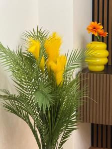 Komsi Group Apartments Genova