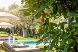 ClickSardegna Villa Angelica con piscina e giardino img10