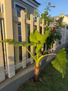 La Mer Villa Tien Thanh Phan Thiet 3BR Near Beach