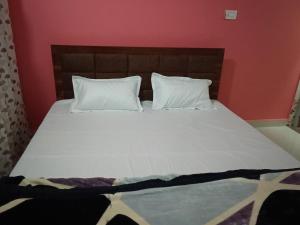 tHE AARYAN VATIKA HOMESTAY MAIHAR