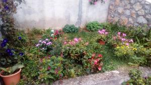 Guesthouse Filepi 