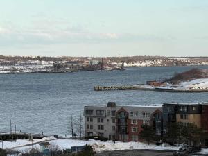 Downtown waterfront 1 BR with 6 appliances and gym
