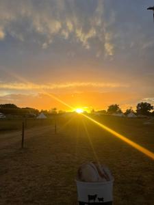 Two Jays Shepherds hut