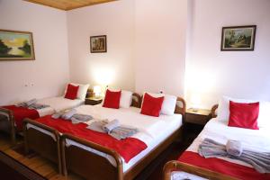 Xhulio Castle Walk Guesthouse