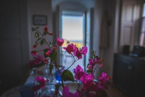Appartement 1 Chambre - Vue sur Mer