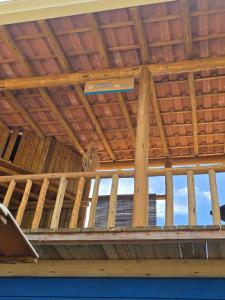 Container - Pura Vida