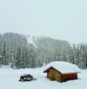 Hôtel LAPIAZ & Spa - FLAINE