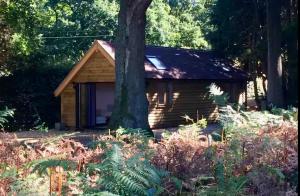 Escape to the Country