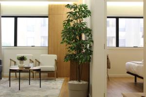 Barramares Concept Lifestyle Oporto City Center