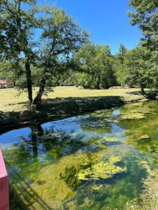 Walk to old town, sunny patio & free parking