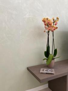 Casa di Faby - Welcome apartment Sanremo