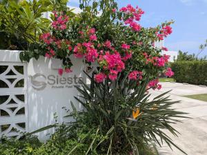 Gift石垣島シエスタプライベートプールヴィラ