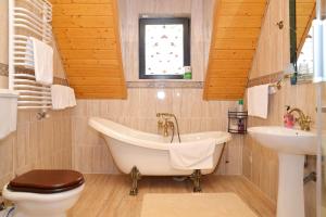 Шале Тетяна