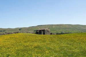 Rose Cottage. Family home on the river