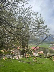 Amaizing mountain view 2-bed apartment in Villa Monte Bakuarini
