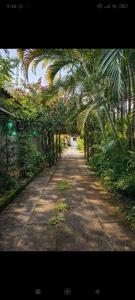 Pousada Rancho Perequê