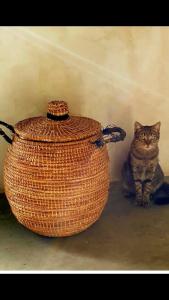 Aguglia Persa - Double Room