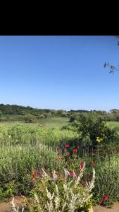 Aguglia Persa - Double Room