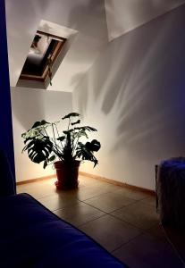 Seaforth - Stunning Beach View Free Parking